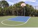 Outdoor basketball court with a blue surface and green perimeter at 12198 Wakulla Pl, Venice, FL 34293