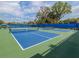 Two well-maintained pickleball courts at 12198 Wakulla Pl, Venice, FL 34293