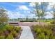 Community basketball court with seating and landscaping at 16766 Carlton Pond St, Wimauma, FL 33598