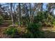 Natural Florida backyard landscape with lush vegetation and mature trees at 201 Auburn Woods Cir, Venice, FL 34292