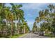 Palm tree-lined street in a residential neighborhood at 201 Auburn Woods Cir, Venice, FL 34292