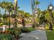 Palm tree-lined street with sidewalk, creating a relaxing atmosphere at 380 Three Lakes Ln # F, Venice, FL 34285
