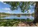 Scenic lakeside view with lush vegetation and a partially visible home at 688 Sugarwood Trl, Venice, FL 34292