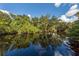 Tranquil river scene with lush greenery reflected in the still water at 1226 Pine Needle Rd, Venice, FL 34285