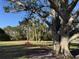 Relaxing shaded area with picnic table and tire swing at 1237 Schooner Ln, Venice, FL 34285