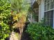 Landscaped walkway with tropical plants near home at 1890 San Trovaso Way, Venice, FL 34285
