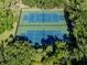 Two well-maintained tennis/pickleball courts at 2020 Harbourside Dr # 424, Longboat Key, FL 34228