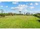 Large, grassy backyard with scattered palm trees and a distant treeline offers ample space at 38 Riverfront Dr, Venice, FL 34293