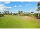 Expansive green lawn featuring mature palm trees and blue sky in the background at 38 Riverfront Dr, Venice, FL 34293