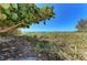 Scenic beach access through lush vegetation, offering a tranquil escape at 5125 Gulf Of Mexico Dr # 7, Longboat Key, FL 34228