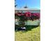 Backyard with bougainvillea, pink flamingo and grass at 601 E Seminole Dr, Venice, FL 34293