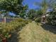 Landscaped backyard with lush greenery and wooden fence at 601 E Seminole Dr, Venice, FL 34293