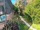 Backyard walkway by pool with lush landscaping and privacy at 601 E Seminole Dr, Venice, FL 34293