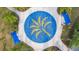 Unique circular ground feature with palm tree design at 12460 Shimmering Oak Cir, Venice, FL 34293