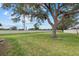 Expansive backyard with mature tree and grassy area at 1700 Curry Ave # 37, Nokomis, FL 34275