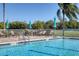 Relaxing community pool with lounge chairs and umbrellas at 1891 San Silvestro Dr, Venice, FL 34285