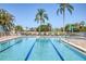 Community lap pool surrounded by palm trees at 1891 San Silvestro Dr, Venice, FL 34285