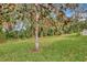 Landscaped backyard with mature trees at 2136 Mesic Hammock Way, Venice, FL 34292