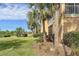 Landscaped backyard with lush grass and tropical plants at 23619 Awabuki Dr, Venice, FL 34293