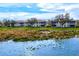 Aerial view showing villas near a tranquil lake with water plants at 4206 Vicenza Dr # C24, Venice, FL 34293
