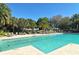 Sparkling community pool with palm trees and seating at 560 Fallbrook Dr, Venice, FL 34292