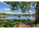 Tranquil lake view, lush greenery, and mature trees at 826 Bayport Cir, Venice, FL 34292