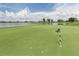Putting green with lake view and residential homes in background at 10792 Tarflower Dr # 202, Venice, FL 34293