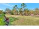 Large backyard with expansive lawn and natural landscape at 11409 Okaloosa Dr, Venice, FL 34293