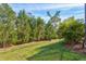Landscaped backyard with lush greenery and natural privacy at 12460 Davie Ct, Venice, FL 34293