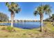 Community lake view with palm trees at 12488 Palatka Dr, Venice, FL 34293