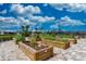 Community garden with raised garden beds and a variety of plants at 13864 Posada St, Venice, FL 34293