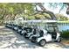 Row of white golf carts parked under oak trees at 256 Royal Oak Way, Venice, FL 34292