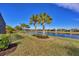 Landscaped backyard with lake view and lush green grass at 13836 Karina St, Venice, FL 34293