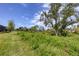 Backyard with lush vegetation and trees at 1932 W Isles Rd, Port Charlotte, FL 33953