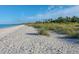 Beachfront property with lush vegetation at 199 Palm Air Dr, Osprey, FL 34229