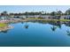 Peaceful waterfront community pond with reflection of palm trees at 199 Palm Air Dr, Osprey, FL 34229