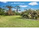 Large grassy backyard with mature palm trees and landscaping at 3022 Audubon Ave, Englewood, FL 34224
