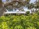 Private backyard oasis with lush greenery and trees at 335 Englewood Isles Pkwy # 55, Englewood, FL 34223