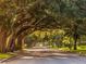 A sun dappled tree-lined street with mature trees and lush landscaping at 335 Sunset Lake Blvd, Venice, FL 34292