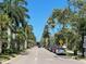Lined palm trees along residential street at 460 Base E Ave # 122, Venice, FL 34285