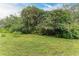 Landscaped backyard with lush greenery and spacious lawn at 7023 Chickasaw Bayou Rd, Bradenton, FL 34203