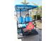 Rear view of blue golf cart at 808 S Green Cir, Venice, FL 34285