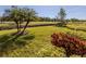 Landscaped area with palm trees and shrubs at 936 Capri Isles Blvd # 102, Venice, FL 34292