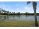 Peaceful lake view with lush landscaping and palm trees at 12353 Auburndale Ct, Venice, FL 34293