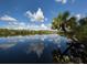 Serene river view with palm trees and reflection of clouds at 4060 Barbary Ln, North Port, FL 34287