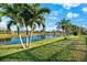 Peaceful backyard with palm trees and a scenic view of the lake at 4264 Wordsworth Way, Venice, FL 34293