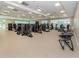 Fitness center featuring various weight machines at 487 Summerfield Way, Venice, FL 34292
