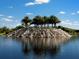 Stunning waterfall feature with palm trees and tranquil lake at 5031 Bella Terra Dr, Venice, FL 34293