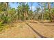 Wooded vacant lot with mature trees at 610 Woodview Way, Bradenton, FL 34212
