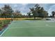 Community basketball court with two hoops and green surface at 11692 Spotted Margay Ave, Venice, FL 34292